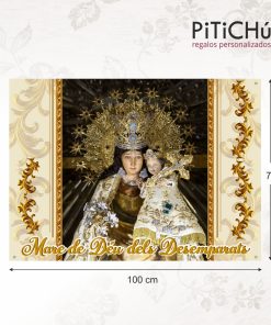 lona virgen de los desamparados
