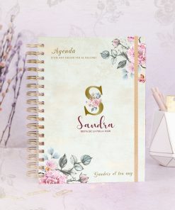 pitichu agenda fallera